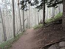 photo thumbnail #4