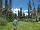 photo thumbnail #11