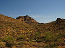 photo thumbnail #8