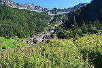 photo thumbnail #10
