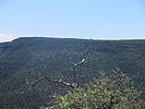 2020-08-15 :2: Woodchute - Martin Canyon Loop :: DixieFlyer