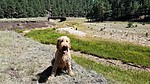 photo thumbnail #1