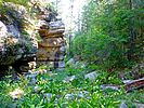 2020-08-14 :1: Upper Miller Canyon :: kingsnake
