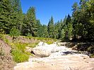 2020-08-14 :1: Upper Miller Canyon :: kingsnake
