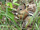 photo thumbnail #3