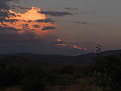 photo thumbnail #12