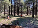 photo thumbnail #2