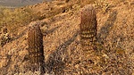 photo thumbnail #3
