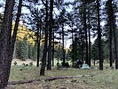 photo thumbnail #3