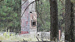photo thumbnail #8