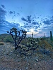 photo thumbnail #1