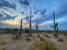photo thumbnail #4