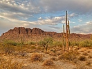 photo thumbnail #10