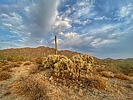 photo thumbnail #14