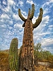 photo thumbnail #15