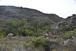 photo thumbnail #6