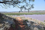 photo thumbnail #7