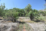 photo thumbnail #12