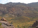 photo thumbnail #7