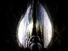 photo thumbnail #15