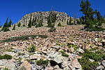 photo thumbnail #4