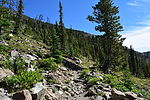 photo thumbnail #5