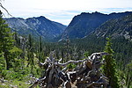 photo thumbnail #7