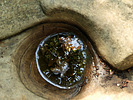 photo thumbnail #15