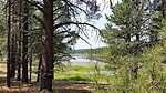 photo thumbnail #9