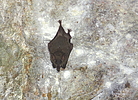 photo thumbnail #14