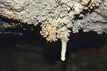 photo thumbnail #15