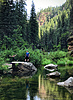 photo thumbnail #13