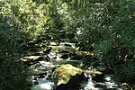 photo thumbnail #10