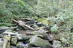 photo thumbnail #2