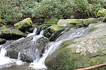 photo thumbnail #3