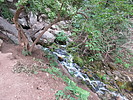 photo thumbnail #6
