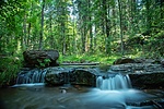 photo thumbnail #6