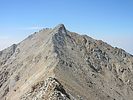 Featured Full Photo