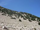 2020-08-22 :2: Boundary Peak - Nevada Highpoint :: DixieFlyer