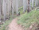 photo thumbnail #6