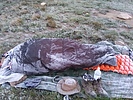 recent photo