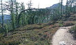 photo thumbnail #12