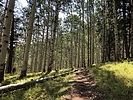 photo thumbnail #1
