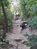 photo thumbnail #10