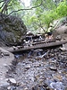 photo thumbnail #11