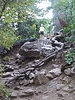 photo thumbnail #15