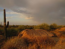 photo thumbnail #1