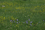 photo thumbnail #12