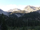 photo thumbnail #8