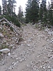 photo thumbnail #10